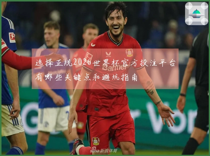 选择正规2026世界杯官方投注平台有哪些关键点和避坑指南