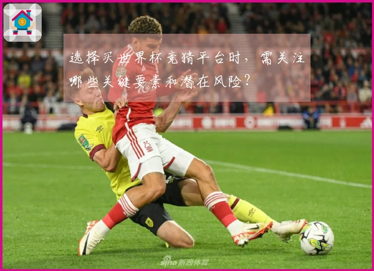 选择买世界杯竞猜平台时，需关注哪些关键要素和潜在风险？