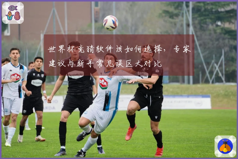 世界杯竞猜软件该如何选择，专家建议与新手常见误区大对比