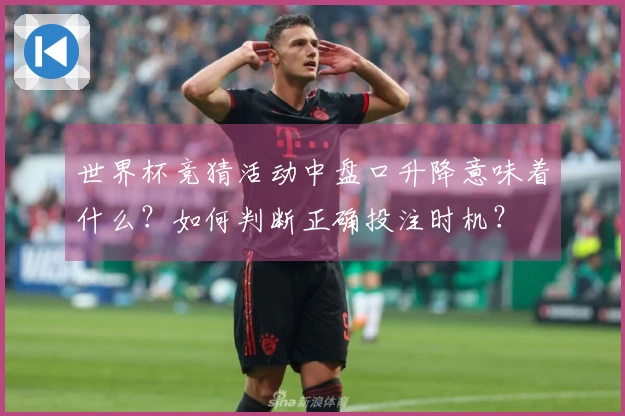 世界杯竞猜活动中盘口升降意味着什么？如何判断正确投注时机？