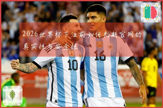 2026世界杯下注前如何判断官网的真实性与安全性