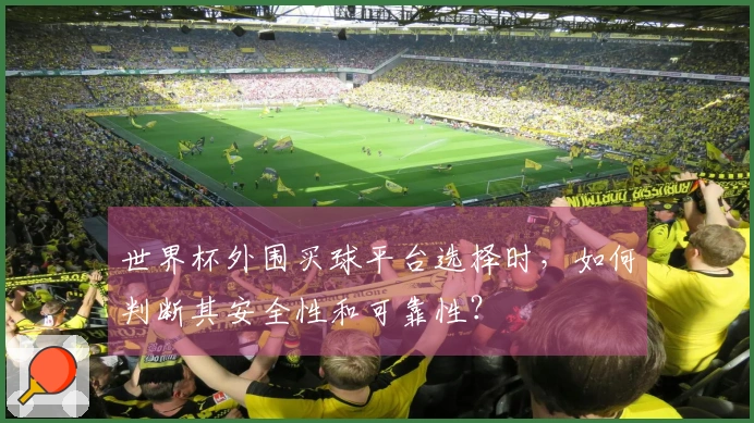 世界杯外围买球平台选择时，如何判断其安全性和可靠性？