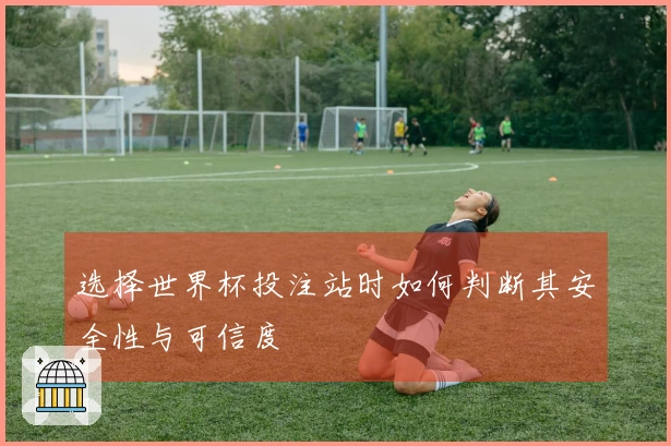 选择世界杯投注站时如何判断其安全性与可信度