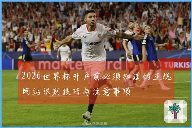 2026世界杯开户前必须知道的正规网站识别技巧与注意事项