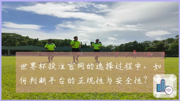 世界杯投注官网的选择过程中，如何判断平台的正规性与安全性？