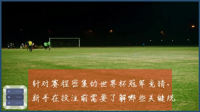 针对赛程密集的世界杯冠军竞猜，新手在投注前需要了解哪些关键规则和注意事项