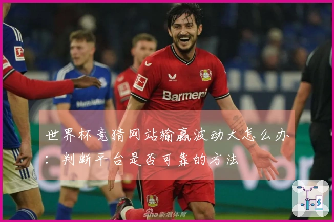 世界杯竞猜网站输赢波动大怎么办：判断平台是否可靠的方法