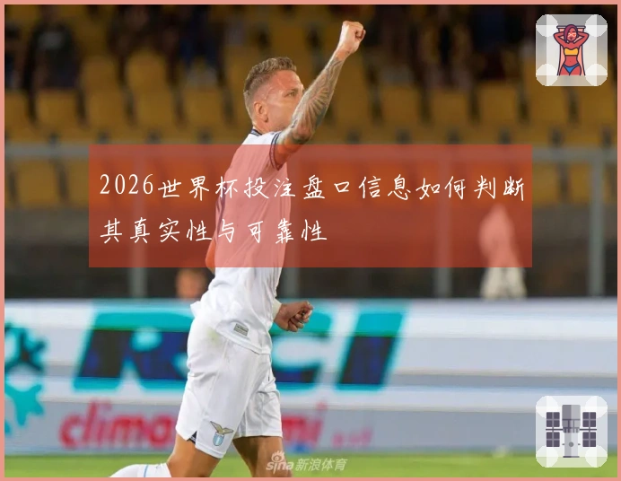 2026世界杯投注盘口信息如何判断其真实性与可靠性