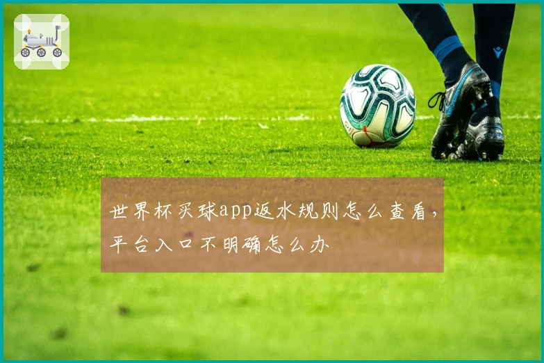 世界杯买球app返水规则怎么查看，平台入口不明确怎么办