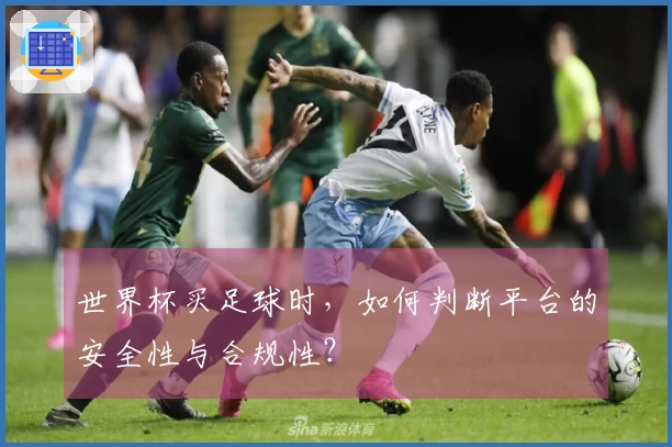 世界杯买足球时，如何判断平台的安全性与合规性？