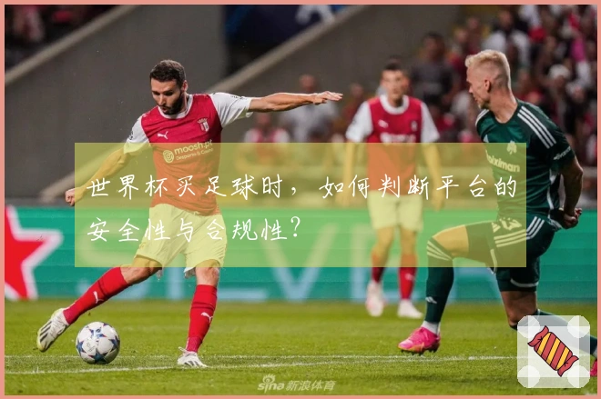 世界杯买足球时，如何判断平台的安全性与合规性？