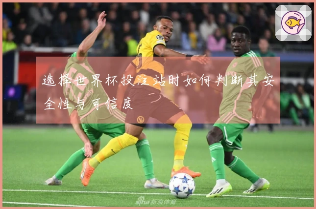 选择世界杯投注站时如何判断其安全性与可信度
