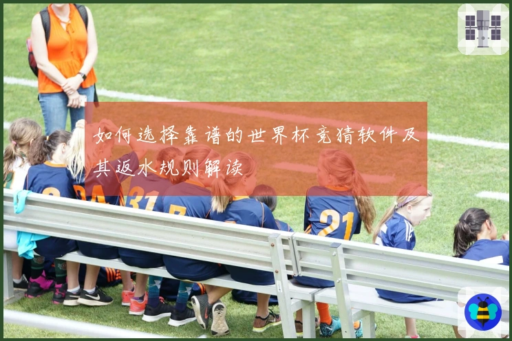 如何选择靠谱的世界杯竞猜软件及其返水规则解读