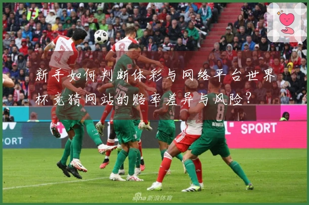 新手如何判断体彩与网络平台世界杯竞猜网站的赔率差异与风险？