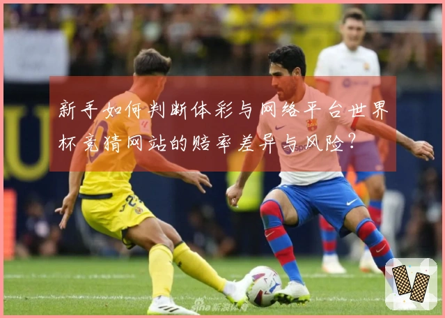新手如何判断体彩与网络平台世界杯竞猜网站的赔率差异与风险？