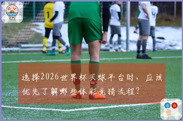 选择2026世界杯买球平台时，应该优先了解哪些体彩竞猜流程？
