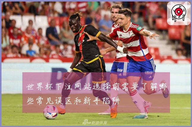 世界杯下注网站选择前需要了解哪些常见误区和新手陷阱