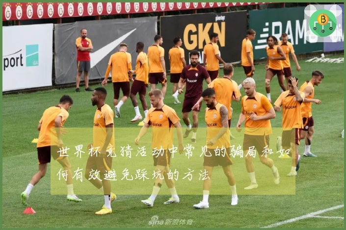 世界杯竞猜活动中常见的骗局和如何有效避免踩坑的方法