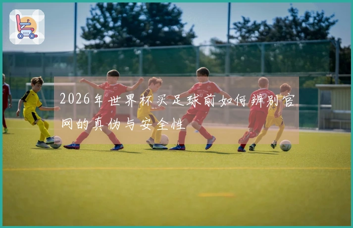 2026年世界杯买足球前如何辨别官网的真伪与安全性