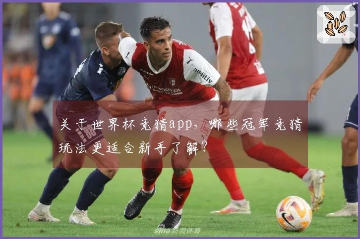 关于世界杯竞猜app，哪些冠军竞猜玩法更适合新手了解？